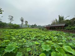 -涞滩古镇