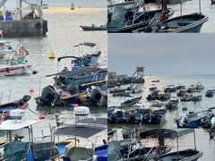 -西涌国际滨海旅游区