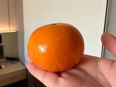 -桔子酒店(天津五大道店)