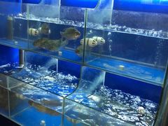 水产区-百家鲜·杭帮菜