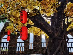 -三峡人家风景区