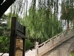 -团结湖公园