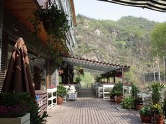 -Local泰莲庭(虹鳟鱼店)