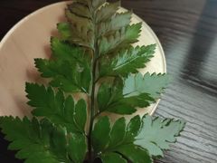-杯莫停小酒馆
