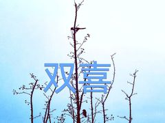 -阳澄湖半岛旅游度假区