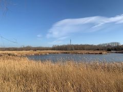 -野鸭湖国家湿地公园