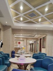 -碧莲盛·不剃发植发