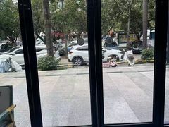 -博特宠物医院24h犬猫全科.骨科·异宠