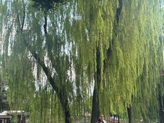 -温江公园