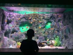 -常州海昌海洋探索馆