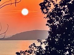 -上海市保健医疗中心