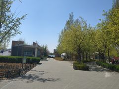 -大兴滨河森林公园