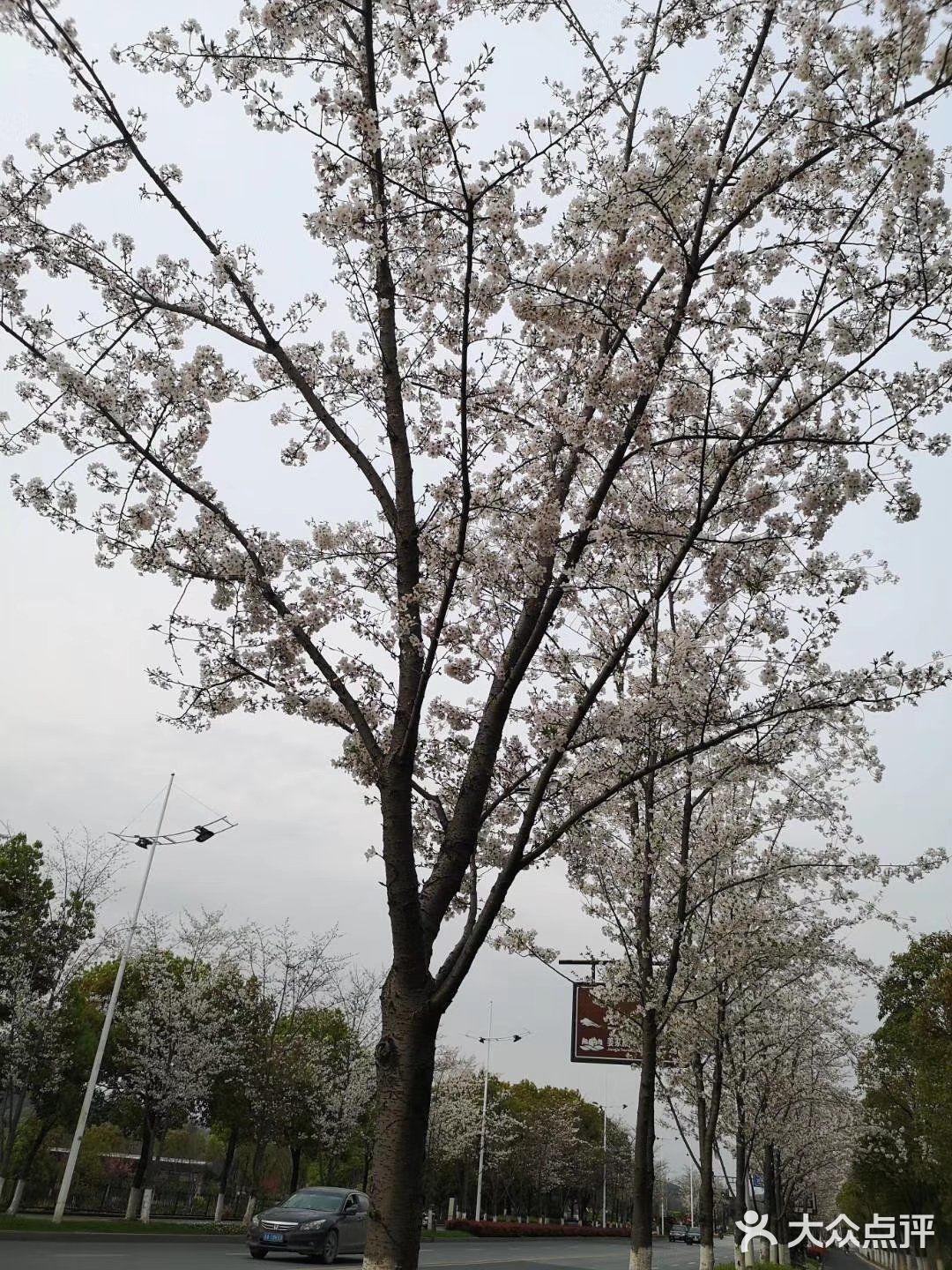 你会发现那些被挡住的风景，才是最适宜的人生
