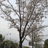 你会发现那些被挡住的风景，才是最适宜的人生