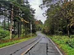 -洛阳白云山景区