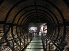 -乐山乌木文化博览苑