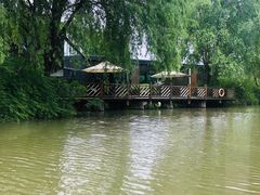 -同里国家湿地公园
