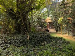 -呀路古热带植物园
