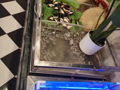 -迈豪国际酒店-百老汇旋转西餐厅