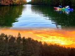 -上海海湾国家森林公园