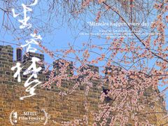 -桃花堤公园