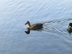 -吉林大学(前卫南校区)