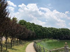 -美兰湖景区