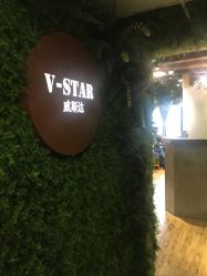 点击看大图 -V-STAR威斯达•高级私人定制
