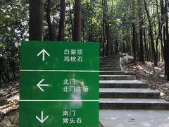 -火炉山森林公园