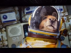 -金逸影城(影视中心IMAX店)