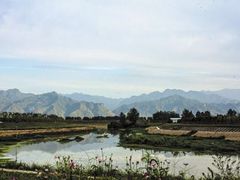 -洨河生态公园