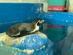 -太平洋海底世界