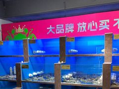 -蟹小姐节气生鲜·年货(高新店)