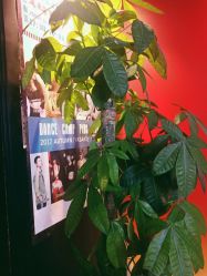 -YASAKI国际舞蹈中心