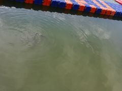 -宁波九龙湖开元度假村
