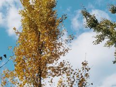 -渭河城市绿地运动公园