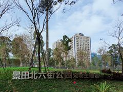 -景田北六街公园宠物主题园