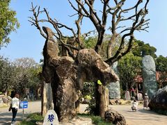 -云南勐巴娜西珍奇园