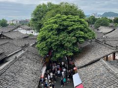 -中天楼