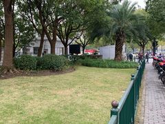 -上海中医药大学附属曙光医院(东部)