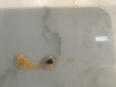 -甘掌门·化州驰名牛杂粉(越秀店)