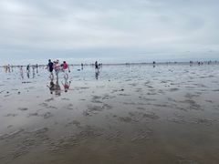 -奉贤海滩