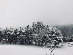-威海天沐温泉度假区