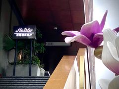 -Nolita西餐厅(金地新华道店)
