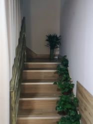 -丝客富脱发养发头皮馆