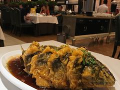 -金春禧(世茂国际广场店)