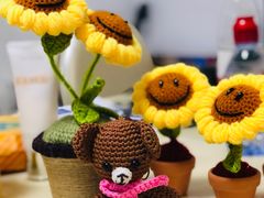 -呀路古热带植物园