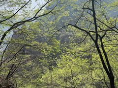 -孤山寨风景区
