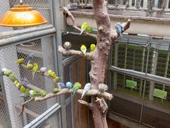 -正佳雨林生态植物园