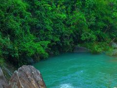 -广州白江湖森林公园